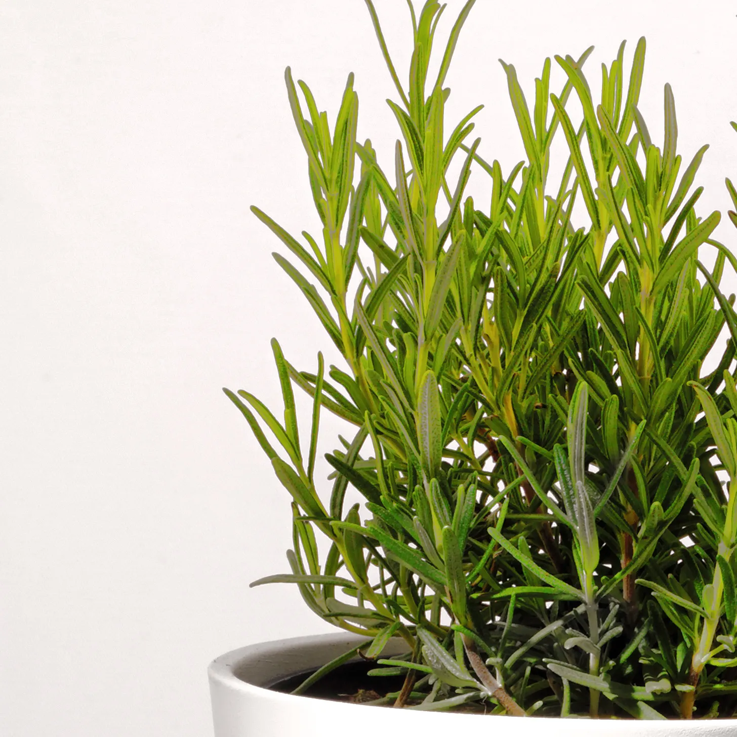 pianta arredamento interni